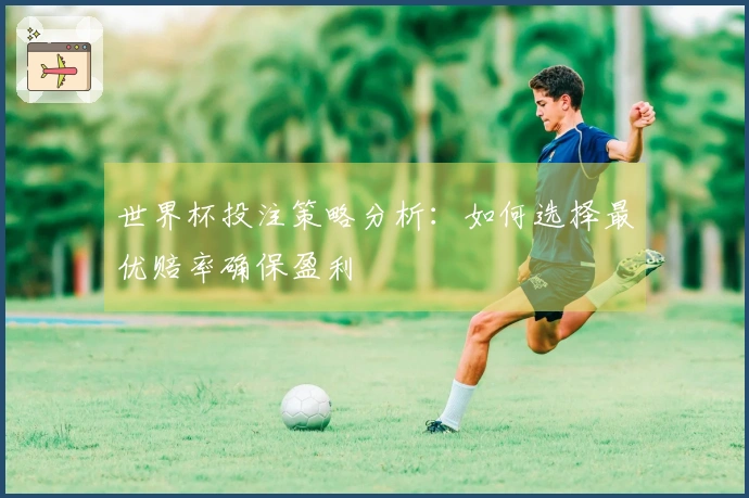 世界杯投注策略分析：如何选择最优赔率确保盈利