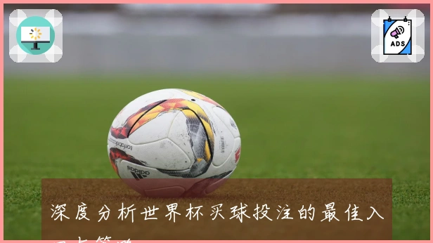 深度分析世界杯买球投注的最佳入口与策略