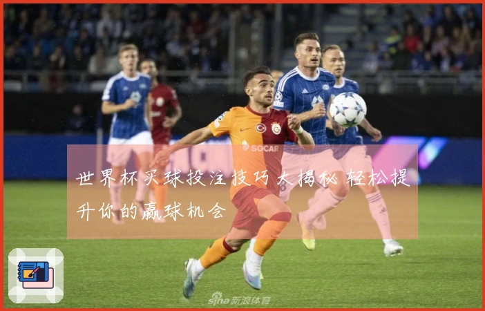世界杯买球投注技巧大揭秘 轻松提升你的赢球机会