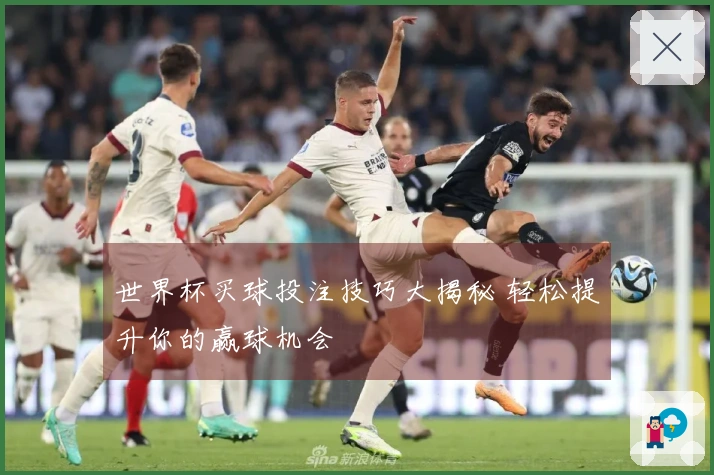 世界杯买球投注技巧大揭秘 轻松提升你的赢球机会
