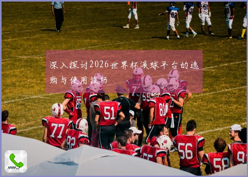 深入探讨2026世界杯滚球平台的选购与使用技巧